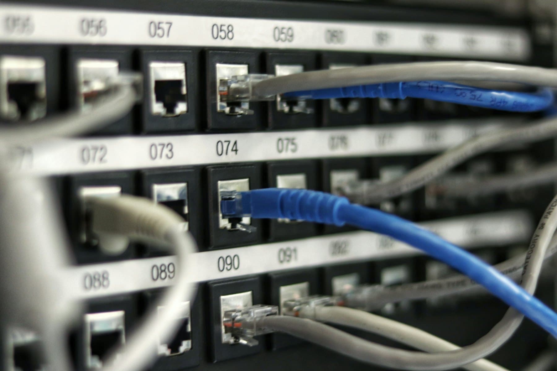 Structured cabling patch panel with numbered ports and connected patch leads